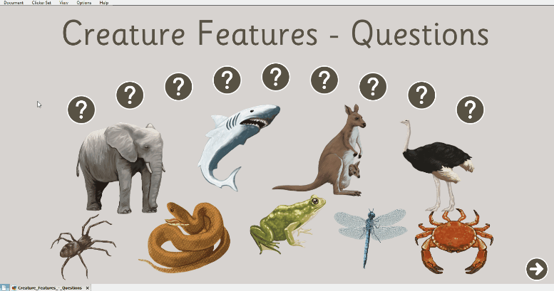 Creature Feature Questions