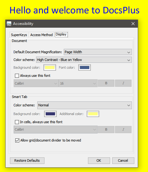 Accessibility Settings in DocsPlus